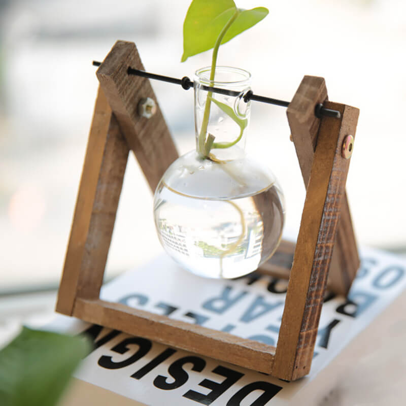 Lighteme Hydroponic Plant Glass Vase