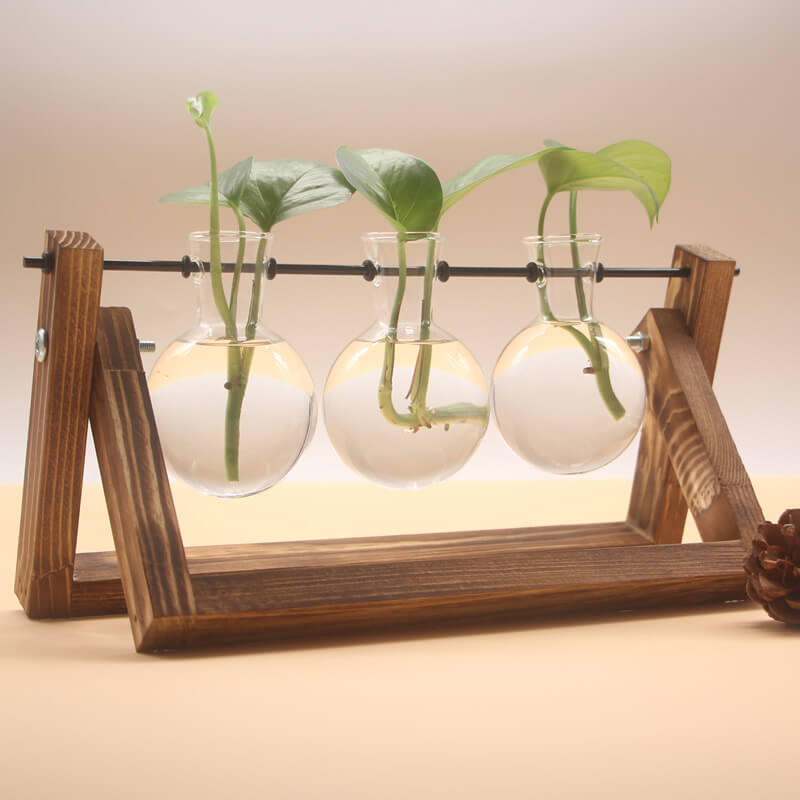Lighteme Hydroponic Plant Glass Vase