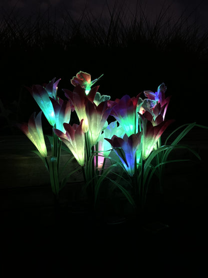 Ihrtrade Artificial Lily Solar Garden Stake Lights (1 Pack of 4 Lilies) | Colored Contact Lenses