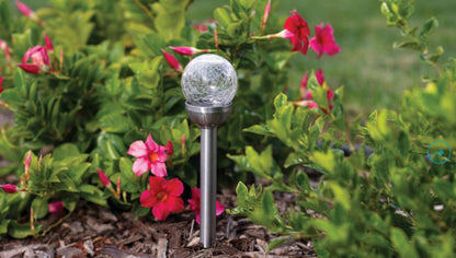 Lighteme Steel Solar Crackle Glass Ball PathWay LED- 8 Pack