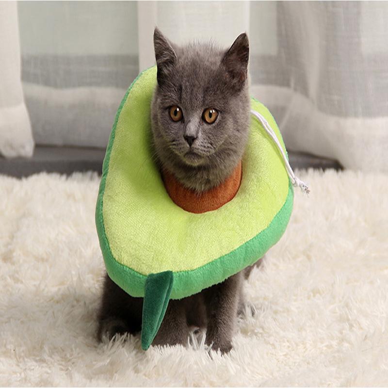 Lighteme Lovely Medical Cat Anti-licking Collar (2 Types)