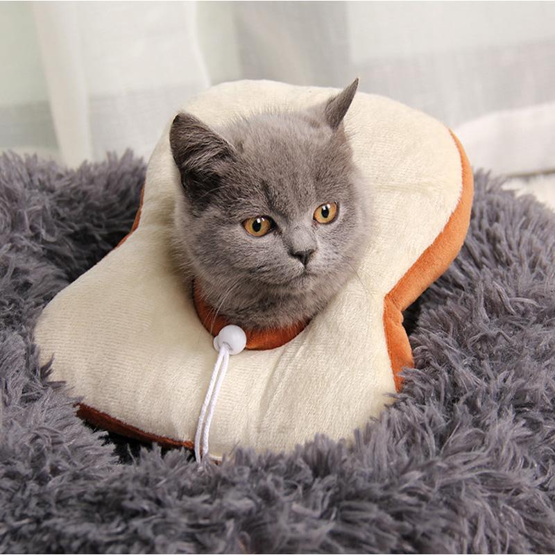 Lighteme Lovely Medical Cat Anti-licking Collar (2 Types)