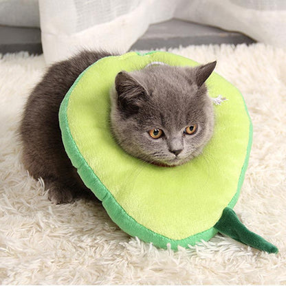 Lighteme Lovely Medical Cat Anti-licking Collar (2 Types)