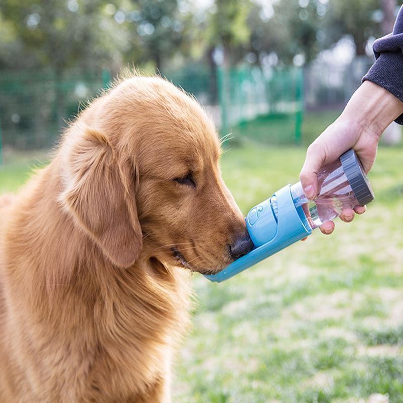 Lighteme 300 ML Outdoor Portable Cup Dog Water Bottle (4 colors)