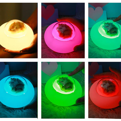 Lighteme Pet Raumschiff Silikonlampe