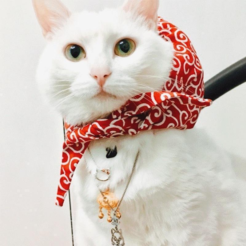 Lighteme Pet Cloth Burden Shaped Collar for Dogs Cats (4 colors & 4 sizes)