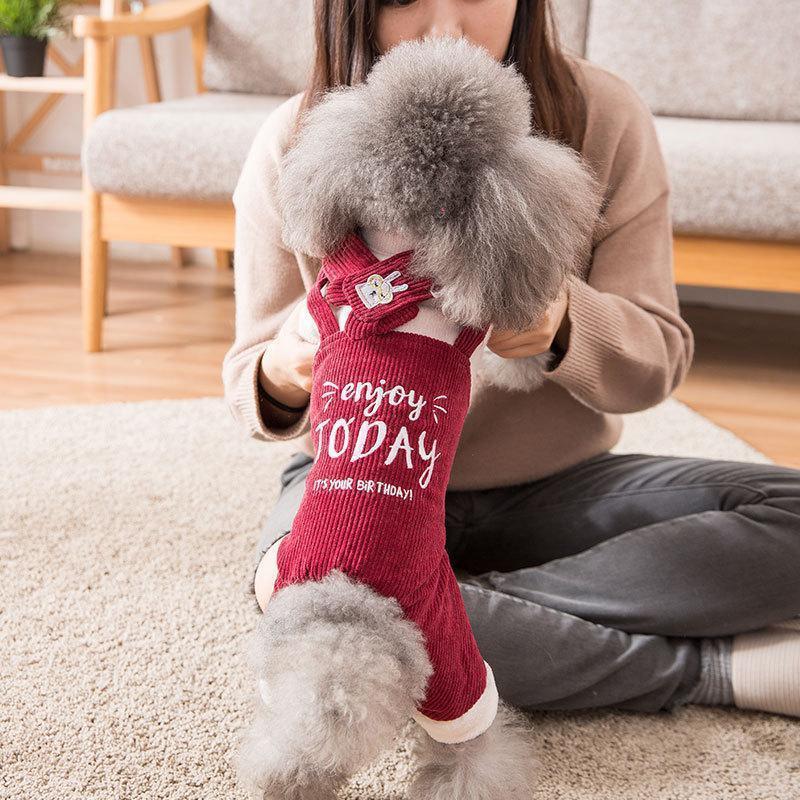 Lighteme Pet Overalls Winter Dog Daily Wear (6 sizes)