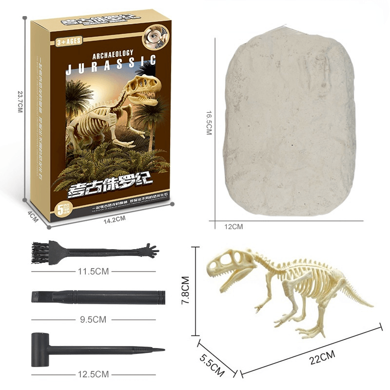 Lighteme Dinosaurier-Fossilien-Ausgrabungsset für Kinder – Komplettset