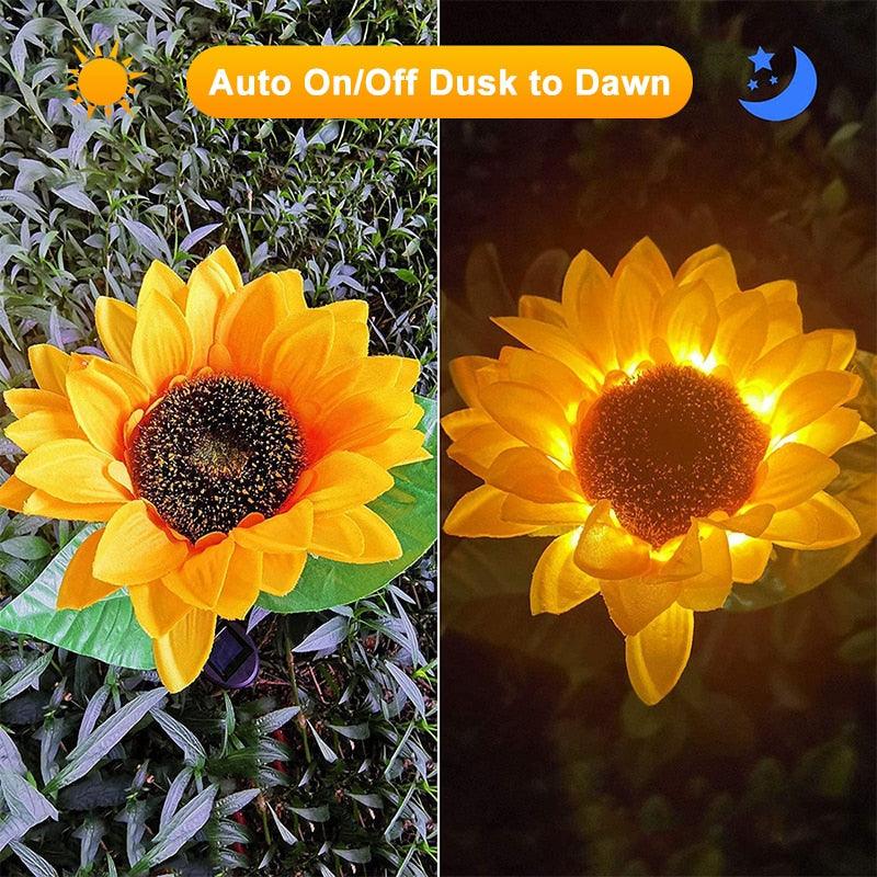 Lighteme Solar-Sonnenblumenlichter machen Ihren Garten attraktiver