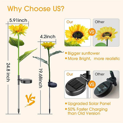 Lighteme Solar-Sonnenblumenlichter machen Ihren Garten attraktiver