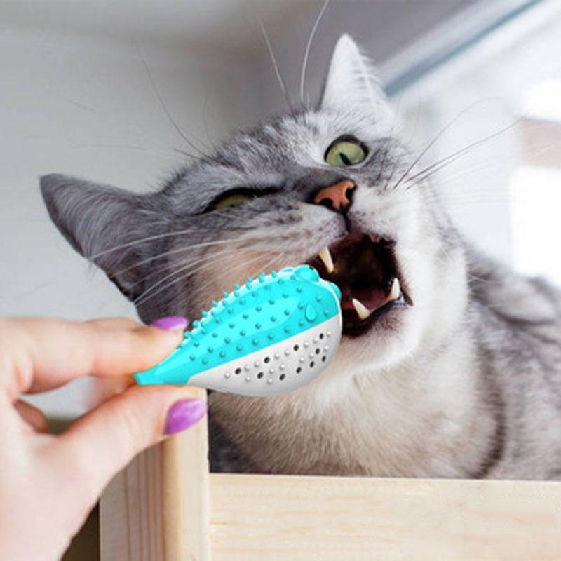 Lighteme Simulation Fish Funny Molar Stick (3 colors)
