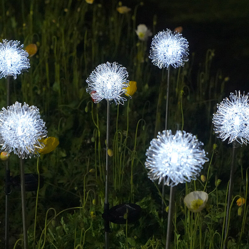 Lighteme Solar Dandelion Outdoor Decorative Light