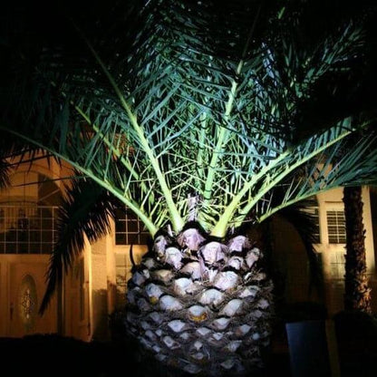 Lighteme Solar Spot Light | High Output | Bright White or Warm White