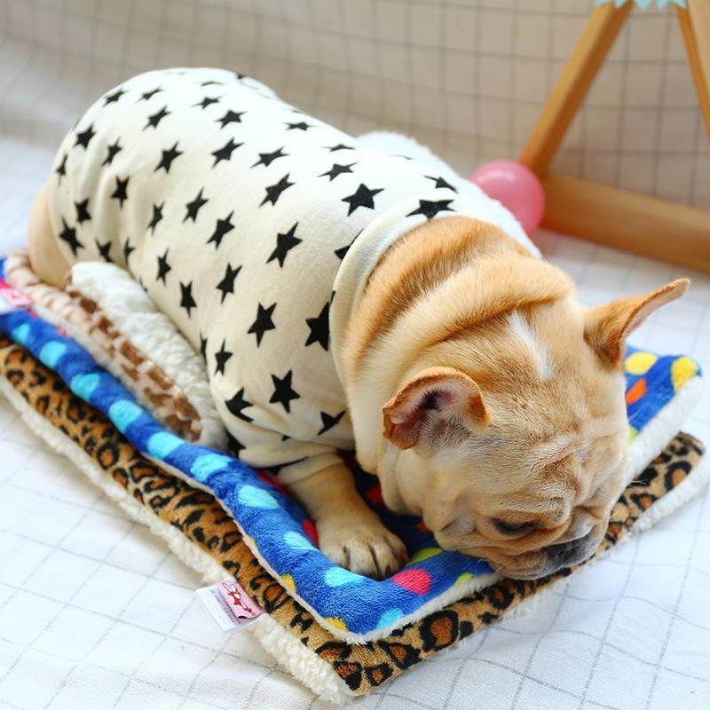 Lighteme Stars O-neck Knitting Dog Clothing (2 colors & 4 sizes)