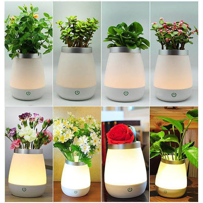 Lighteme Sweet Vase Night Lamp