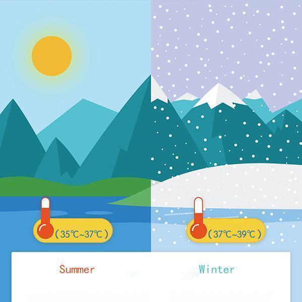 Lighteme Shower Thermometer