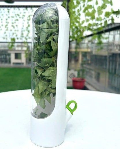 Contenants de conservation pour légumes et herbes aromatiques Lighteme pour préserver la fraîcheur | ACHETEZ-EN 1, OBTENEZ-EN 1 GRATUITEMENT (2 PIÈCES)