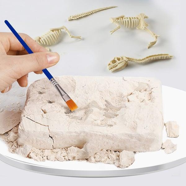 Lighteme Dinosaurier-Fossilien-Ausgrabungsset für Kinder – Komplettset