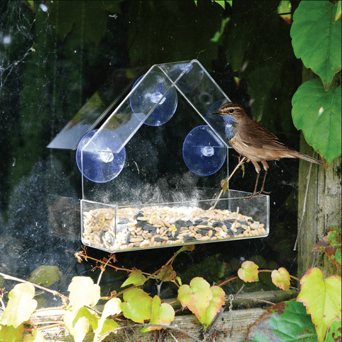 Lighteme Montierbares klares Vogelhäuschen