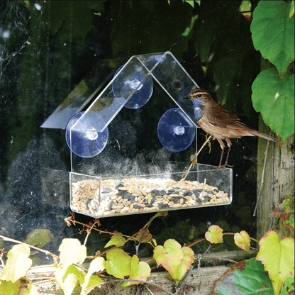 Lighteme Montierbares klares Vogelhäuschen