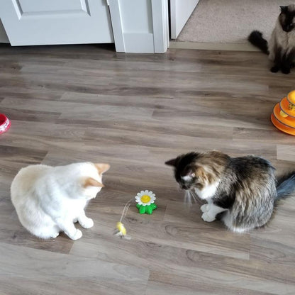 Lighteme Interactive Bird Toy For Cats (3 Types)