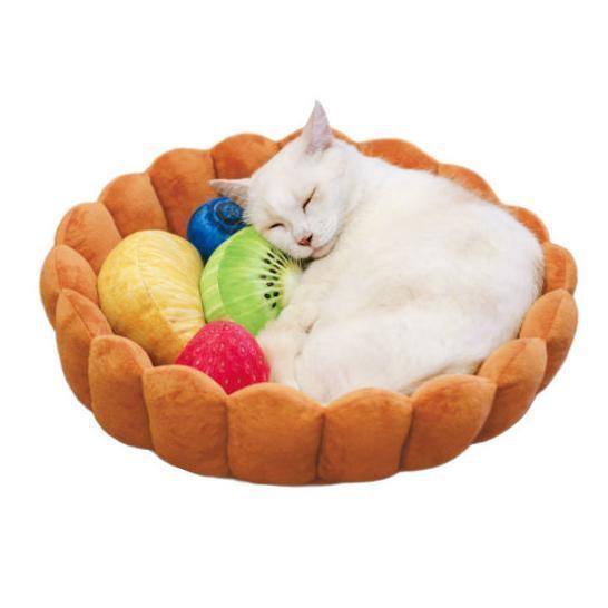 Lit tarte aux fruits Lighteme pour chat