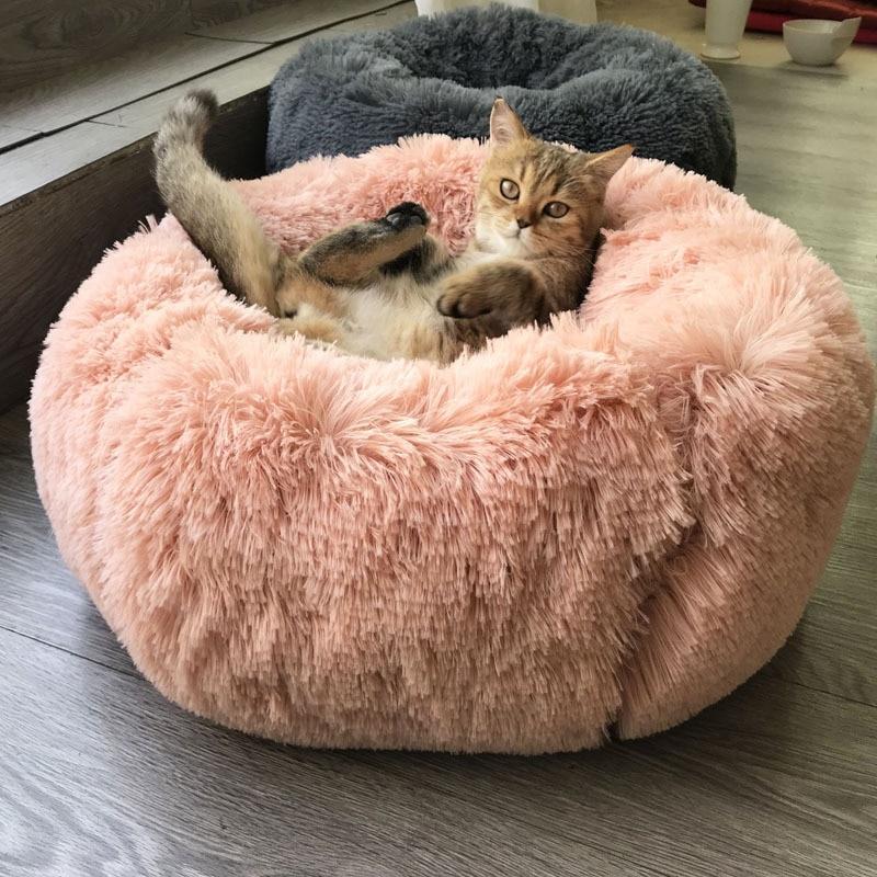 Lighteme Cozy Paws Soothe Bed