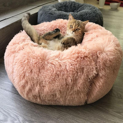 Lighteme Cozy Paws Soothe Bed
