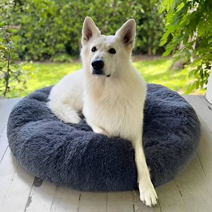 Lighteme Serene Comfort Dog Bed for Restful Sleep