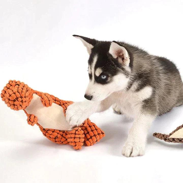 Lighteme – Unzerstörbares Hundespielzeug: 1 kaufen, 2 bekommen
