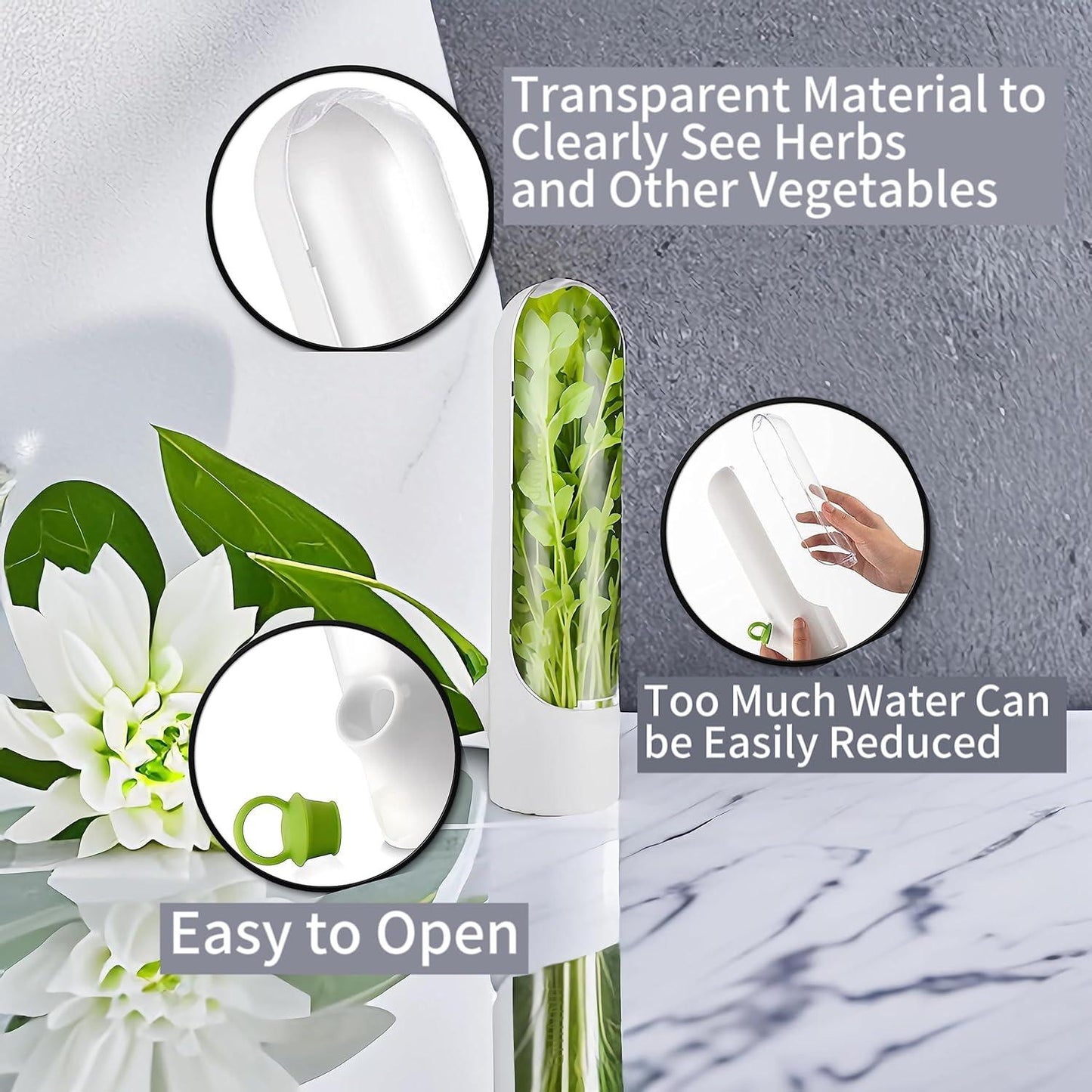 Contenants de conservation pour légumes et herbes aromatiques Lighteme pour préserver la fraîcheur | ACHETEZ-EN 1, OBTENEZ-EN 1 GRATUITEMENT (2 PIÈCES)