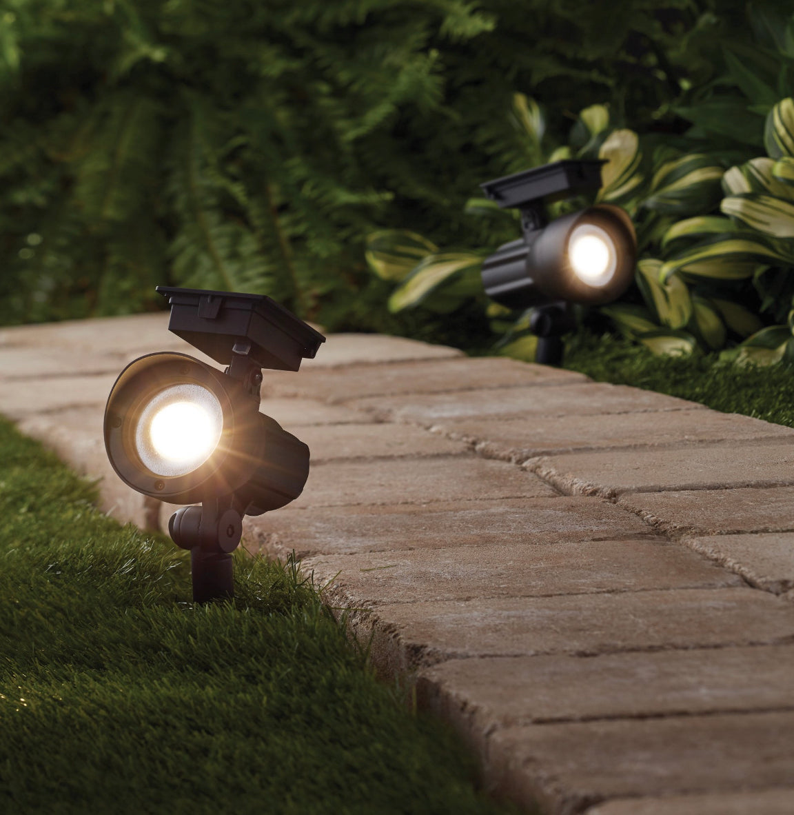 (5-Pack) Lighteme 50 Lumen Solar Outdoor Landscape Spot Light, Black