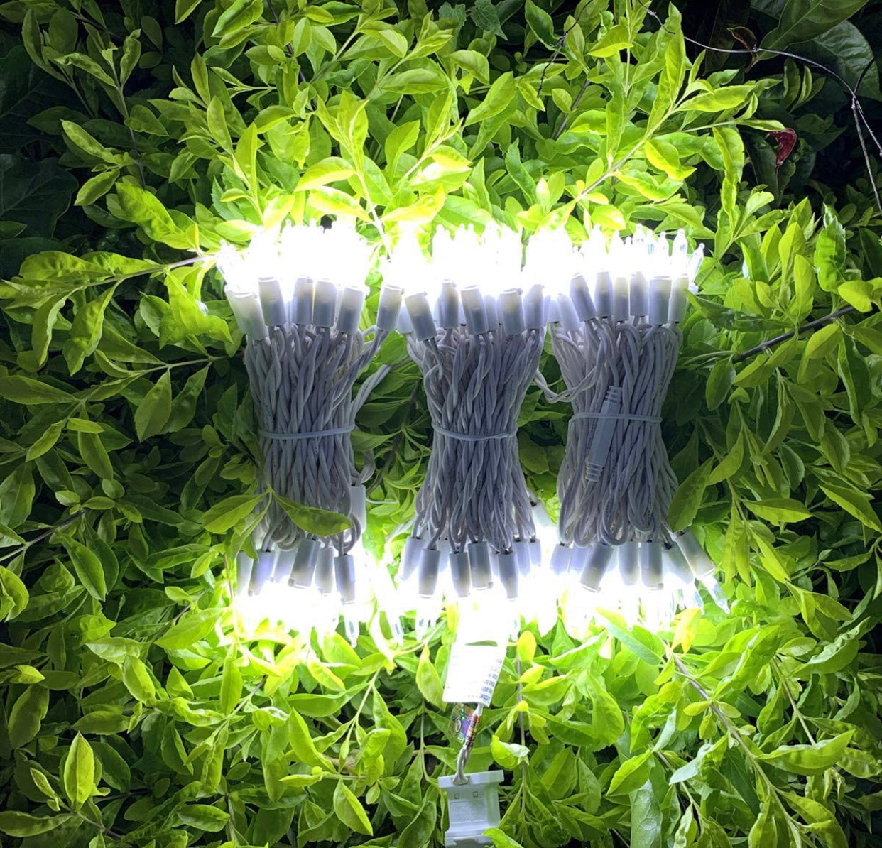Lighteme 150 LED-Weihnachtslichterkette, 15 m grün/weißes Kabel