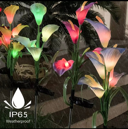 Lighteme 4 Pack Solar Common Calla Lamp Four Color LED