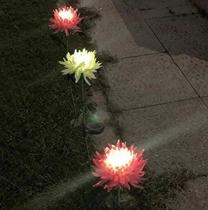 Lighteme Solar LED Light Artificial Chrysanthemum Flower (3 Pack)