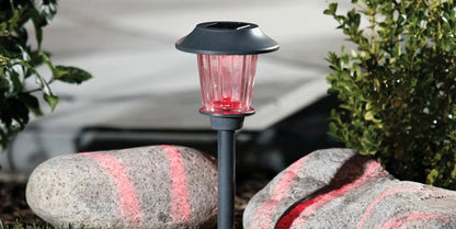 Lighteme Solar Color-Holding Pathway Lights, 8pk.