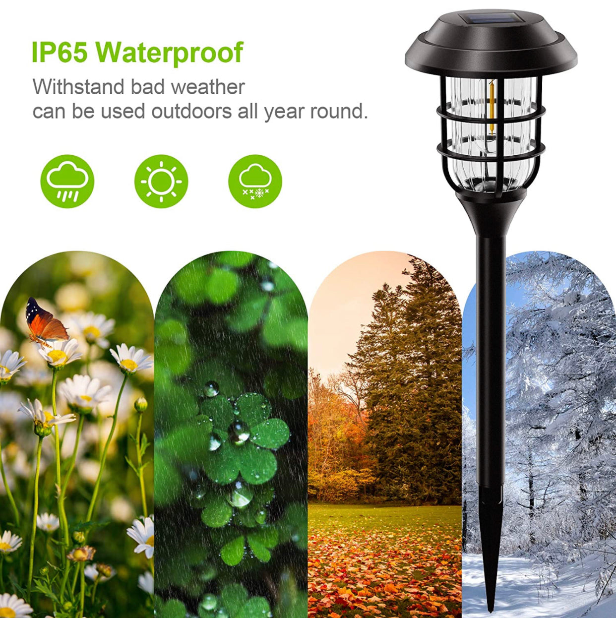 Lighteme Solar Pathway Lights Outdoor 8 Pack