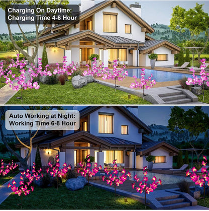 Lighteme 2 Pack Solar Orchid Flower Lights -40 Flowers