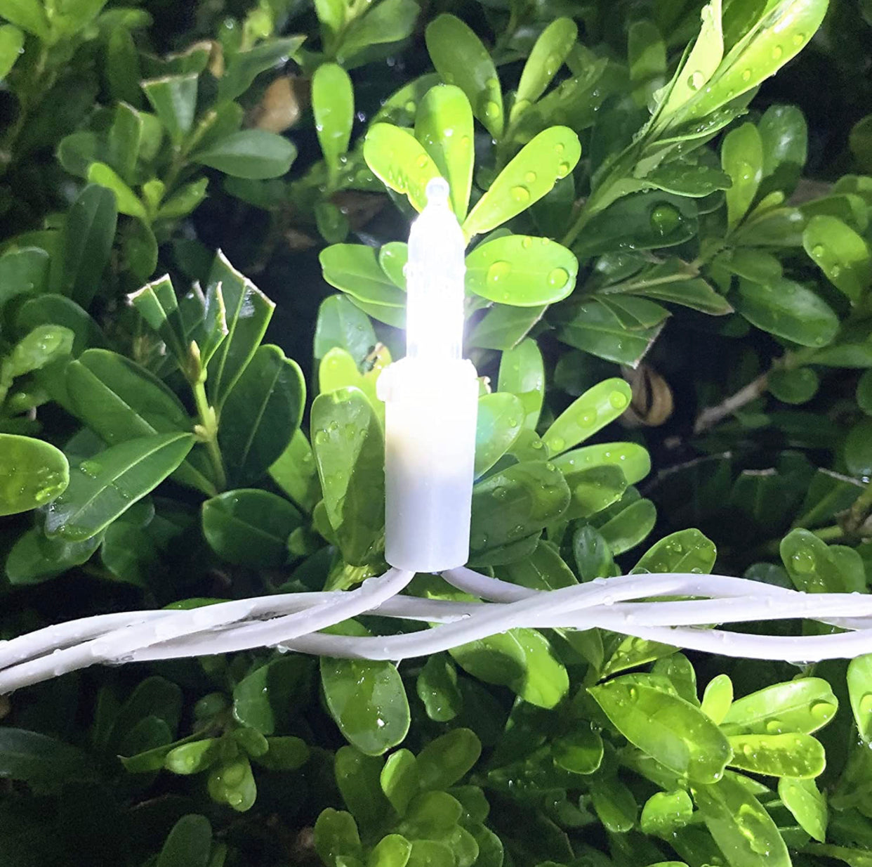 Lighteme 150 LED-Weihnachtslichterkette, 15 m grün/weißes Kabel