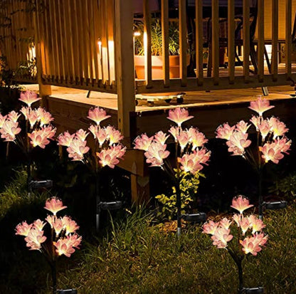 Lot de 2 lampes solaires de jardin Lighteme, alimentées par batterie, étanches, 2 modes d'éclairage, scintillantes et fixes.