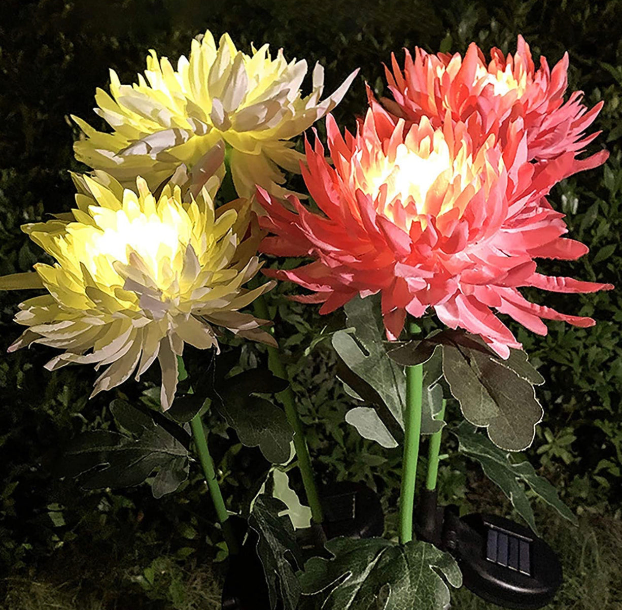 Lighteme Solar LED Light Artificial Chrysanthemum Flower (3 Pack)