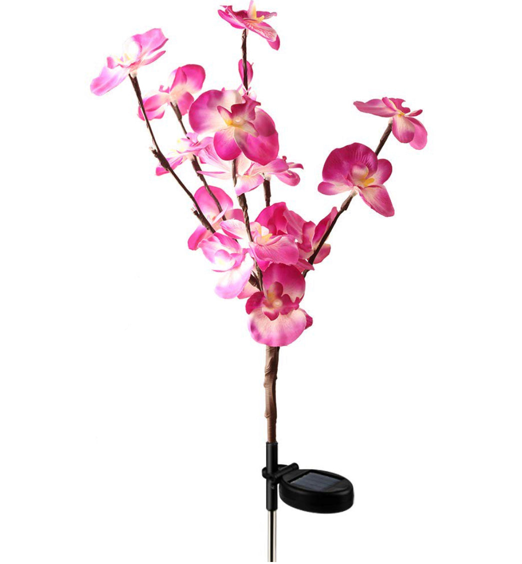 Lighteme 2 Pack Solar Orchid Flower Lights -40 Flowers