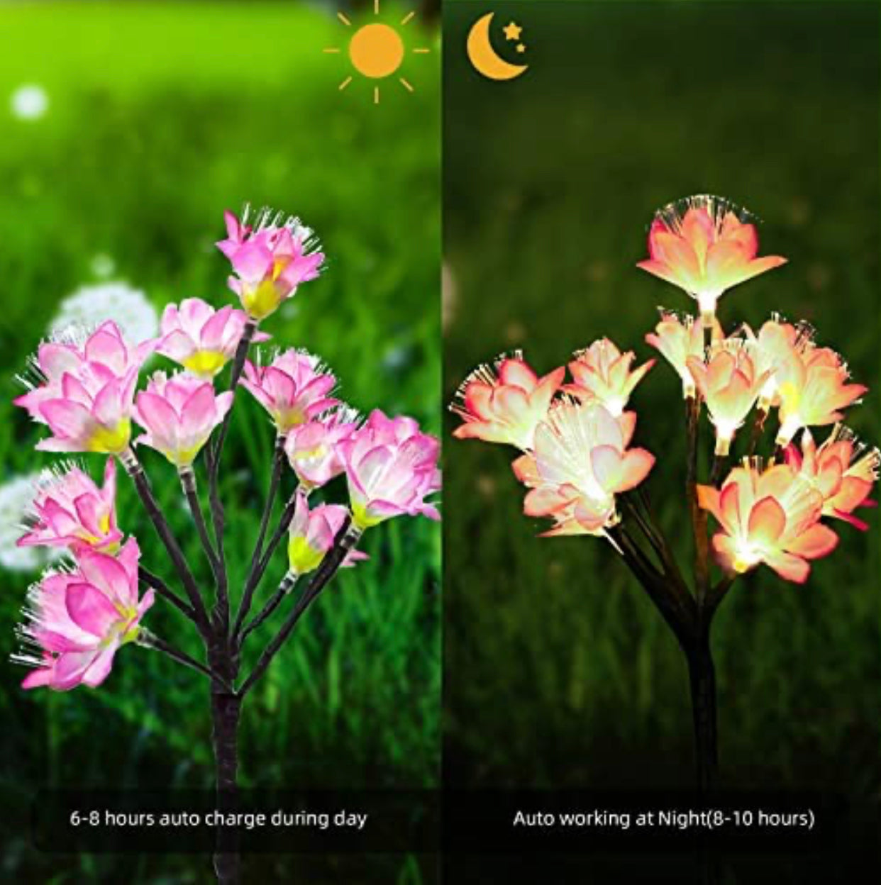 Lot de 2 lampes solaires de jardin Lighteme, alimentées par batterie, étanches, 2 modes d'éclairage, scintillantes et fixes.