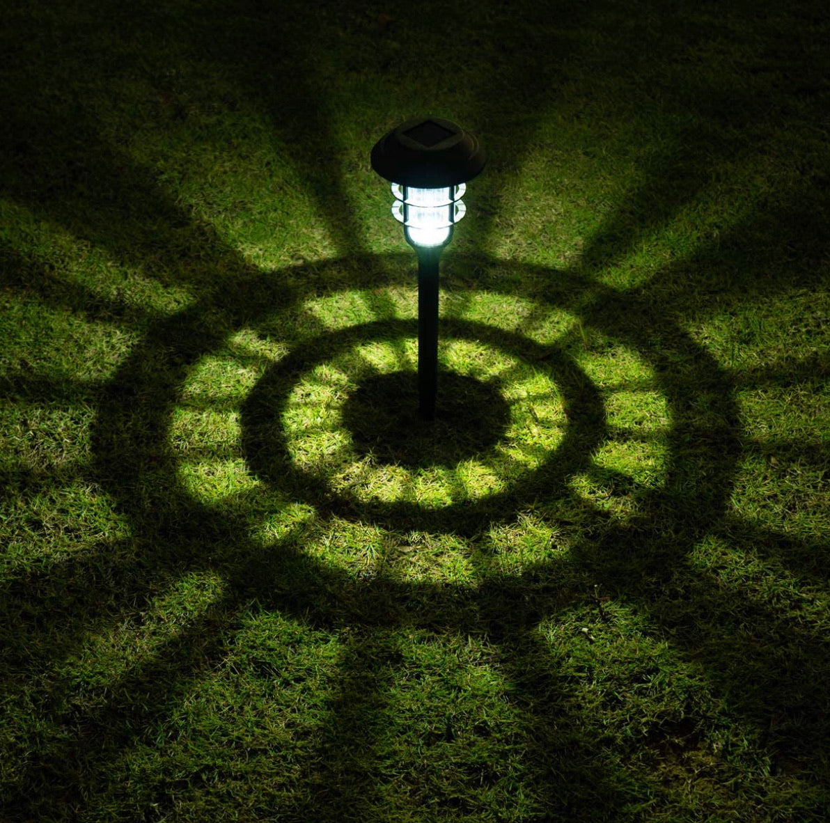 Lighteme Solar Pathway Lights Outdoor 8 Pack