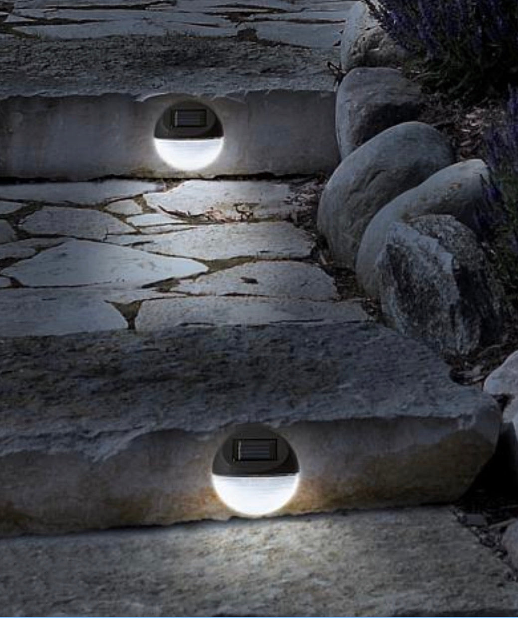 Lighteme Black  Deck Solar Lights Powered  LED  Utility Light 4 Pack