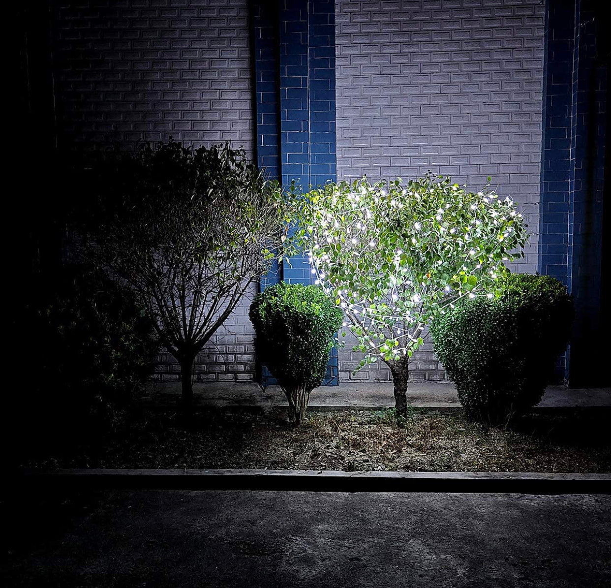 Lighteme 150 LED-Weihnachtslichterkette, 15 m grün/weißes Kabel