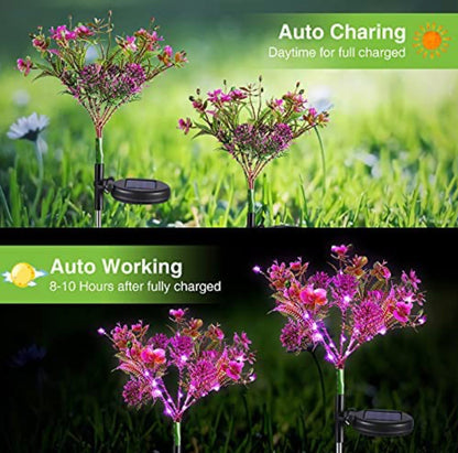 2 Pack - Lighteme Solar Powered Phalaenopsis Flowers Lights Design, Waterproof