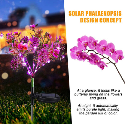 2 Pack - Lighteme Solar Powered Phalaenopsis Flowers Lights Design, Waterproof