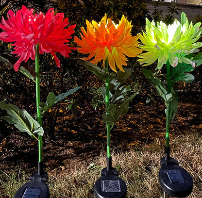 Lighteme Solar LED Light Artificial Chrysanthemum Flower (3 Pack)