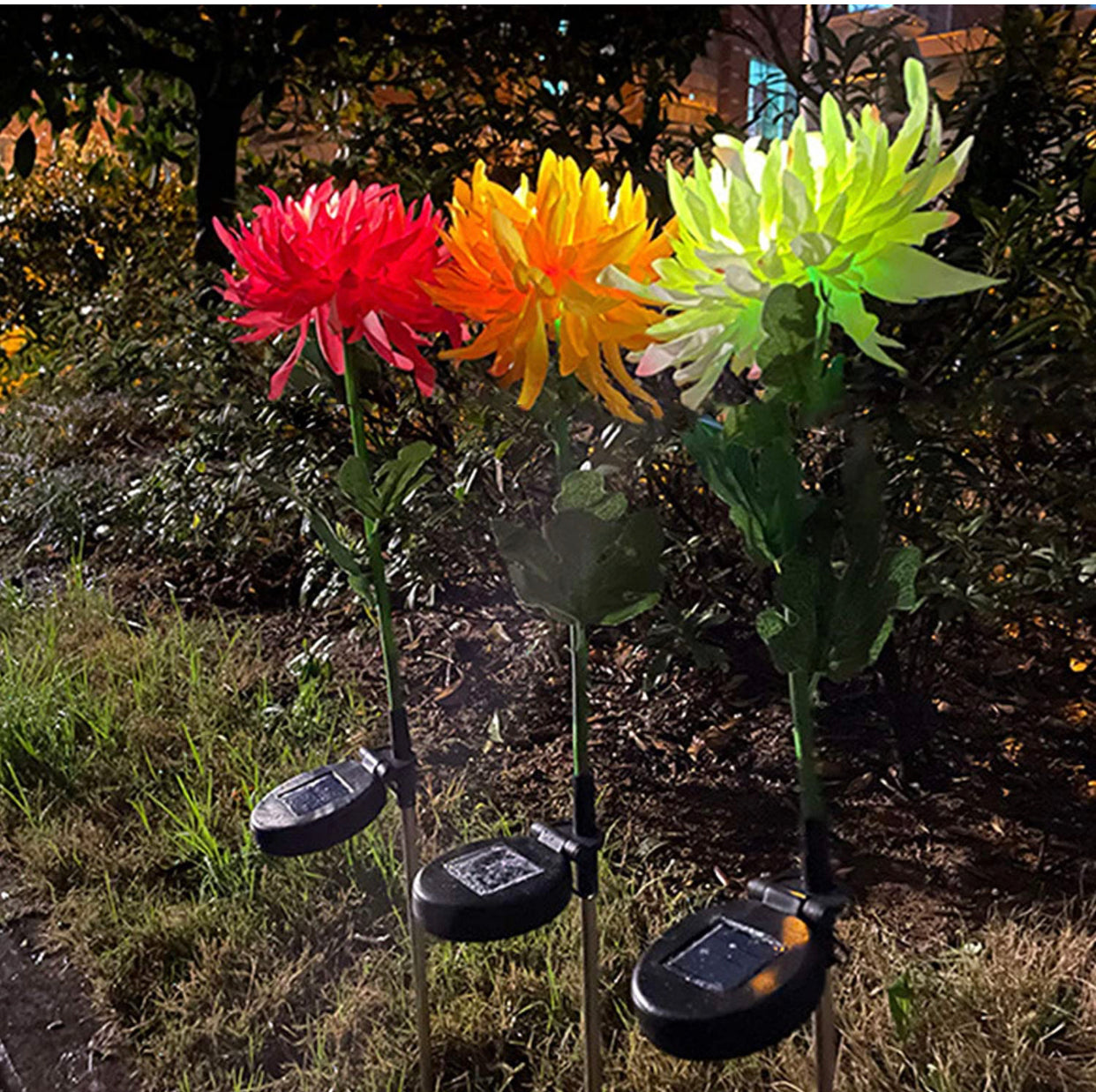 Lighteme Solar LED Light Artificial Chrysanthemum Flower (3 Pack)